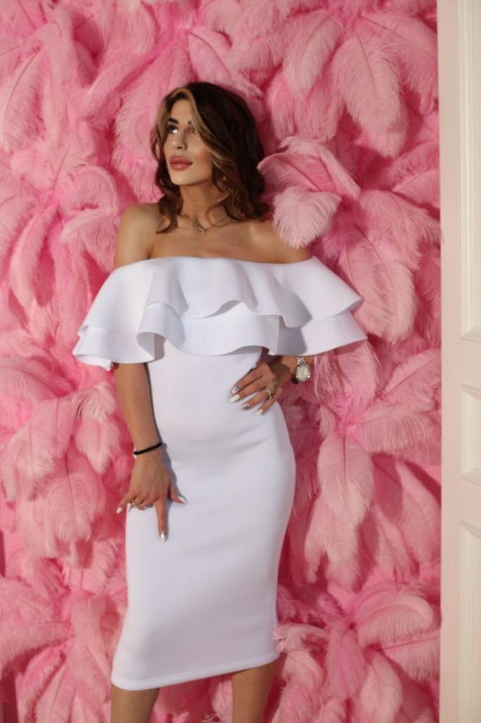 Модель Анфиса